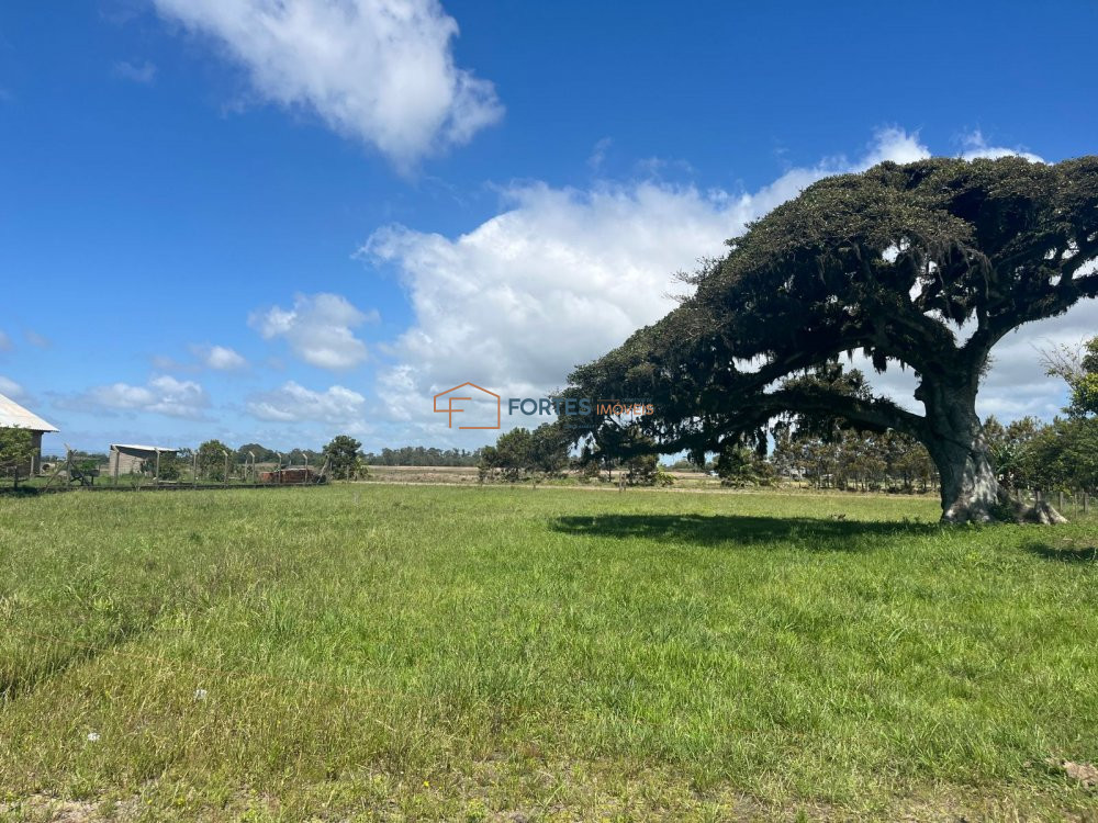 Terreno/Lote  venda  no Palmital - Osrio, RS. Imveis