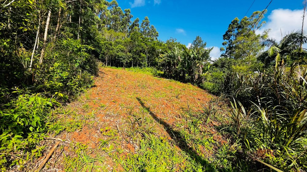 Terreno - Venda - Borssia - Osrio - RS